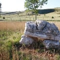 causse mejean