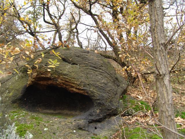 Dsc00517 small