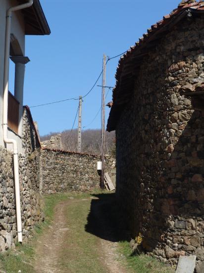 Dsc01615 1