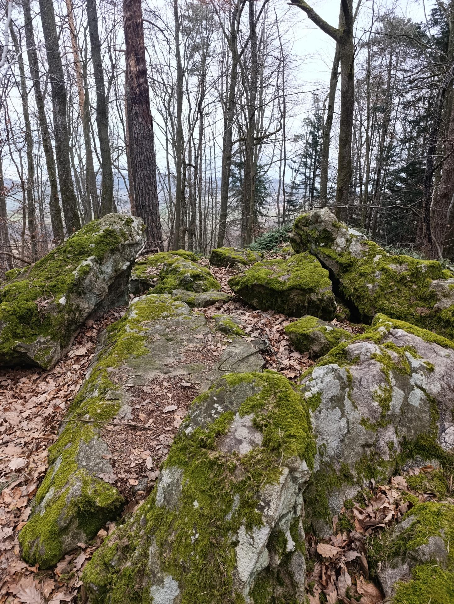 Img 20250301 150213